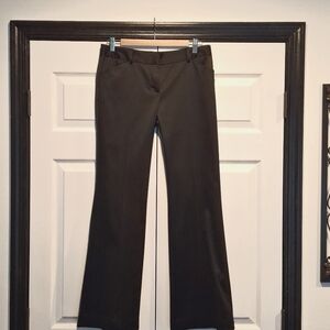 Express Editor Holiday Pants